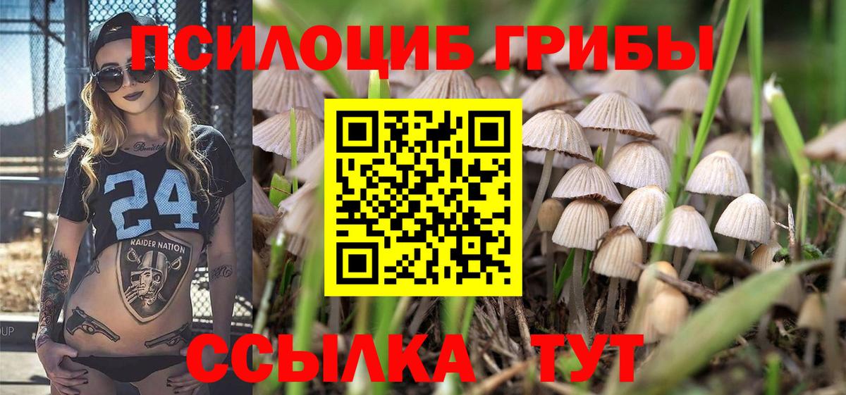 Псилоцибиновые грибы GOLDEN TEACHER  где найти наркотики  Тамбов  Вход с VPN  Галлюциногенные грибы Magic Shrooms 