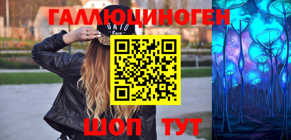 Псилоцибиновые грибы Psilocybe Тамбов