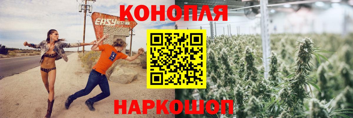Каннабис гибрид Тамбов